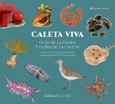 Caleta Viva. Guia de la fauna y flora de La Caleta Portada de: Caleta Viva. Guia de la fauna y flora de La Caleta